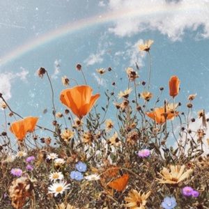 Meet your Posher, Heloise